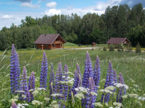 Отель Guest House Kalniņi  Карли